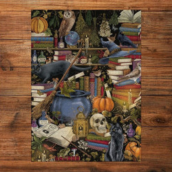 Puzzle 1000 pièces Witchcraft - Gibsons
