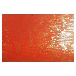 Papier Indien fait main 50 x 70 cm 120 g/m² Rouge Sapin Electric Doré